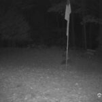 Generic_AMCREST-001-20261029-2100235194-Cam-1-Type-0