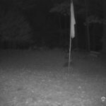 Generic_AMCREST-001-20261030-0400040769-Cam-1-Type-0