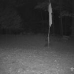 Generic_AMCREST-001-20261030-0430046293-Cam-1-Type-0