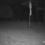 Generic_AMCREST-001-20261030-0500051755-Cam-1-Type-0