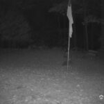 Generic_AMCREST-001-20261030-0530058475-Cam-1-Type-0