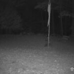 Generic_AMCREST-001-20261030-0600065120-Cam-1-Type-0