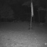 Generic_AMCREST-001-20261030-0630071918-Cam-1-Type-0