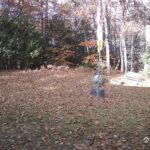 Generic_AMCREST-001-20261030-1030093825-Cam-1-Type-0
