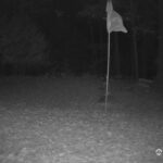 Generic_AMCREST-001-20261030-1830192197-Cam-1-Type-0