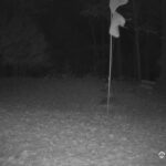 Generic_AMCREST-001-20261030-1900198834-Cam-1-Type-0