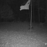 Generic_AMCREST-001-20261030-1930205324-Cam-1-Type-0