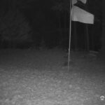 Generic_AMCREST-001-20261030-2000202118-Cam-1-Type-0