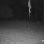 Generic_AMCREST-001-20261030-2030208621-Cam-1-Type-0