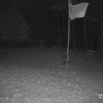 Generic_AMCREST-001-20261030-2100215358-Cam-1-Type-0