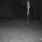 Generic_AMCREST-001-20261031-0400039593-Cam-1-Type-0