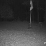 Generic_AMCREST-001-20261031-0430045682-Cam-1-Type-0