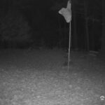 Generic_AMCREST-001-20261031-0500051910-Cam-1-Type-0