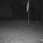 Generic_AMCREST-001-20261031-0530057938-Cam-1-Type-0