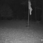 Generic_AMCREST-001-20261031-0600054425-Cam-1-Type-0