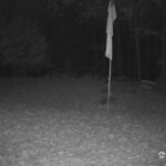Generic_AMCREST-001-20261031-0630060943-Cam-1-Type-0