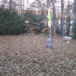 Generic_AMCREST-001-20261031-0730076757-Cam-1-Type-0