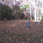 Generic_AMCREST-001-20261031-1000101075-Cam-1-Type-0