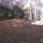 Generic_AMCREST-001-20261031-1030109798-Cam-1-Type-0