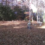 Generic_AMCREST-001-20261031-1100118806-Cam-1-Type-0