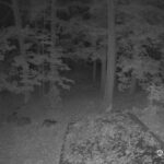 Generic_AMCREST-002-20261022-1900192340-Cam-2-Type-0