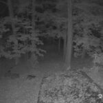 Generic_AMCREST-002-20261022-1930199439-Cam-2-Type-0