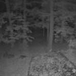 Generic_AMCREST-002-20261022-2000206694-Cam-2-Type-0