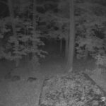 Generic_AMCREST-002-20261022-2030203430-Cam-2-Type-0