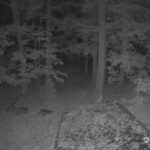 Generic_AMCREST-002-20261022-2100209941-Cam-2-Type-0