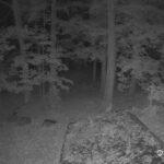 Generic_AMCREST-002-20261023-0400004729-Cam-2-Type-0