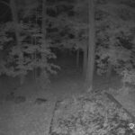 Generic_AMCREST-002-20261023-0430010480-Cam-2-Type-0