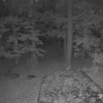 Generic_AMCREST-002-20261023-0630025727-Cam-2-Type-0