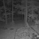 Generic_AMCREST-002-20261029-2030238289-Cam-2-Type-0