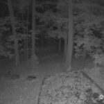 Generic_AMCREST-002-20261030-0400040704-Cam-2-Type-0