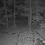Generic_AMCREST-002-20261030-0500042002-Cam-2-Type-0