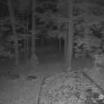 Generic_AMCREST-002-20261030-0530048480-Cam-2-Type-0