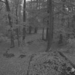 Generic_AMCREST-002-20261030-0700059541-Cam-2-Type-0