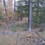 Generic_AMCREST-002-20261030-0830086173-Cam-2-Type-0