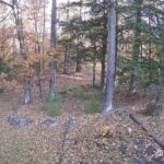 Generic_AMCREST-002-20261030-0900085750-Cam-2-Type-0
