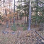 Generic_AMCREST-002-20261030-0930085332-Cam-2-Type-0