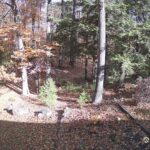 Generic_AMCREST-002-20261030-1100083530-Cam-2-Type-0