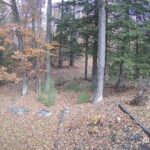 Generic_AMCREST-002-20261030-1200101021-Cam-2-Type-0
