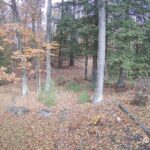 Generic_AMCREST-002-20261030-1230110320-Cam-2-Type-0