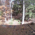 Generic_AMCREST-002-20261030-1300119710-Cam-2-Type-0