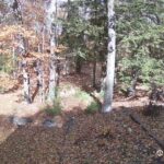 Generic_AMCREST-002-20261030-1330128513-Cam-2-Type-0