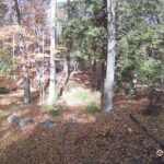Generic_AMCREST-002-20261030-1400137134-Cam-2-Type-0