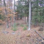 Generic_AMCREST-002-20261030-1430145930-Cam-2-Type-0