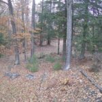Generic_AMCREST-002-20261030-1500144530-Cam-2-Type-0