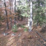 Generic_AMCREST-002-20261030-1530143569-Cam-2-Type-0