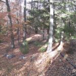 Generic_AMCREST-002-20261030-1600142413-Cam-2-Type-0